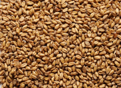 Wheat Malt